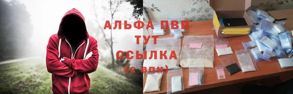 ГАЛЛЮЦИНОГЕННЫЕ ГРИБЫ Абаза