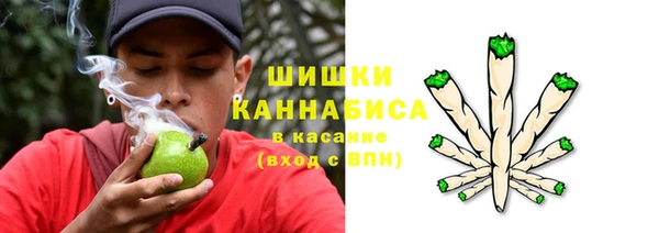 твердый Алзамай