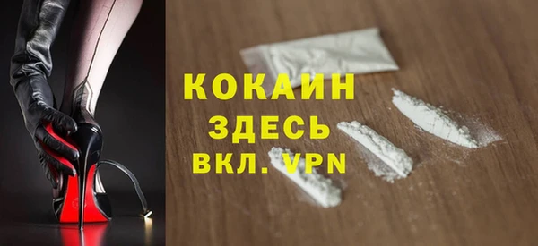 ГАЛЛЮЦИНОГЕННЫЕ ГРИБЫ Абаза