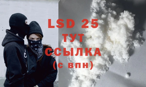 ГАЛЛЮЦИНОГЕННЫЕ ГРИБЫ Абаза