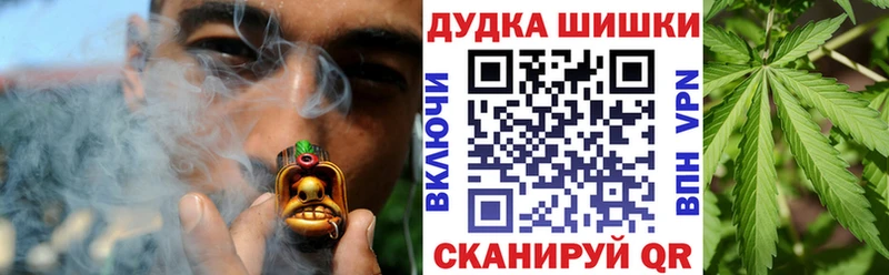 Бошки Шишки конопля  Чекалин 